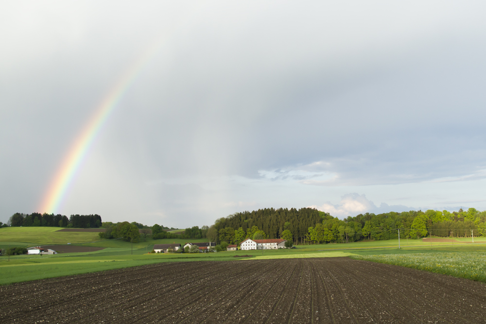 Regenbogen