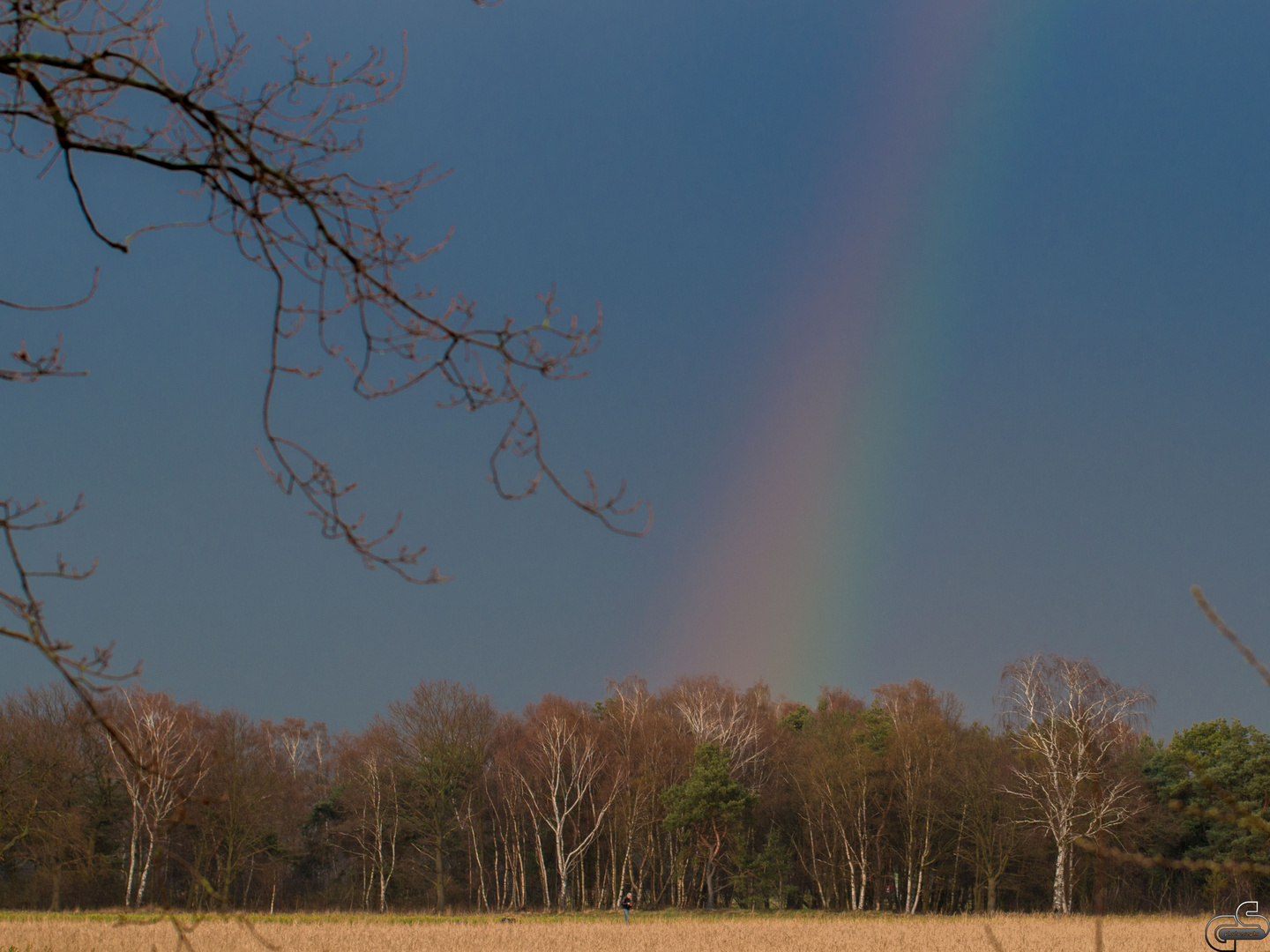 Regenbogen...