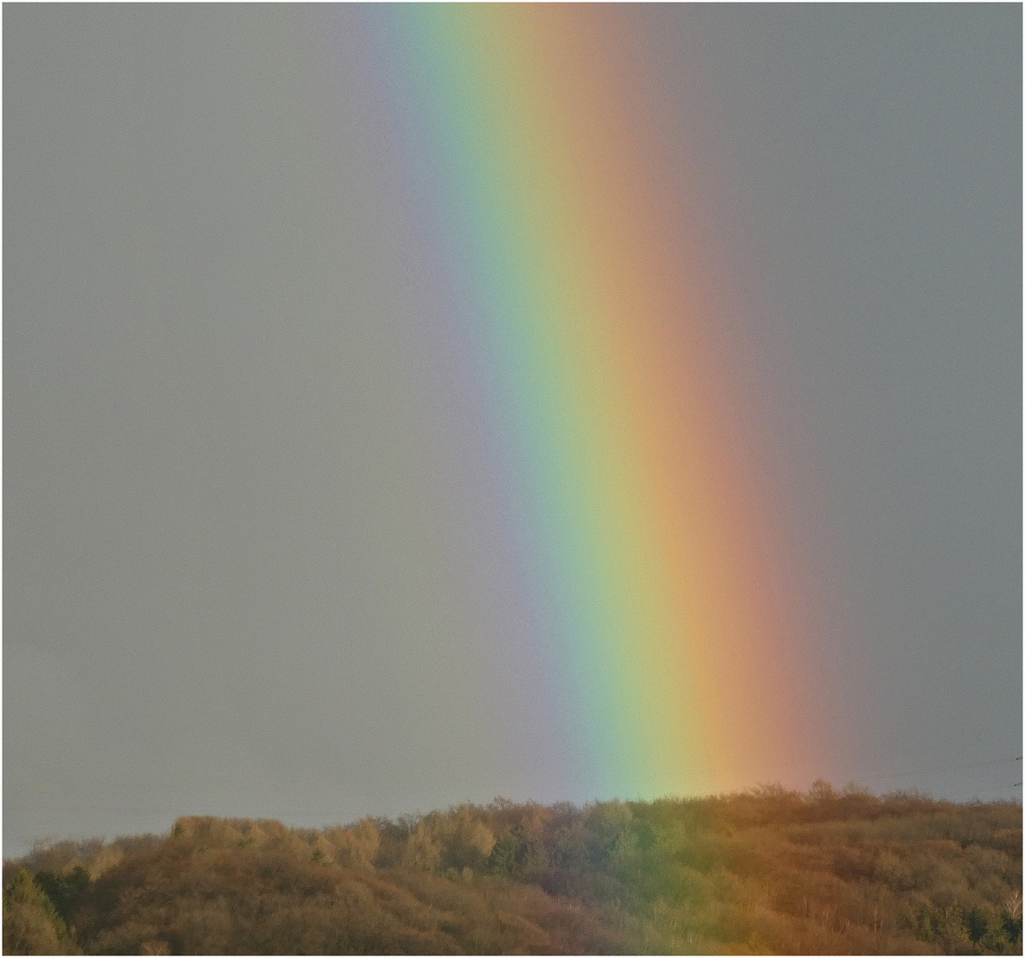 Regenbogen