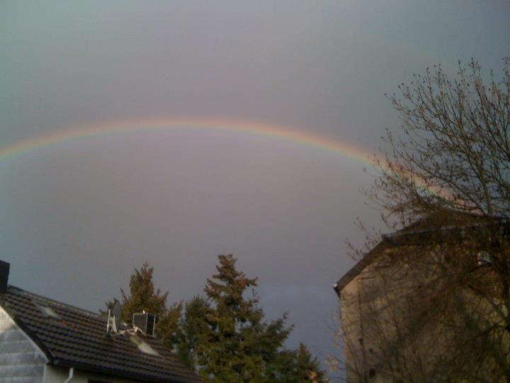 Regenbogen