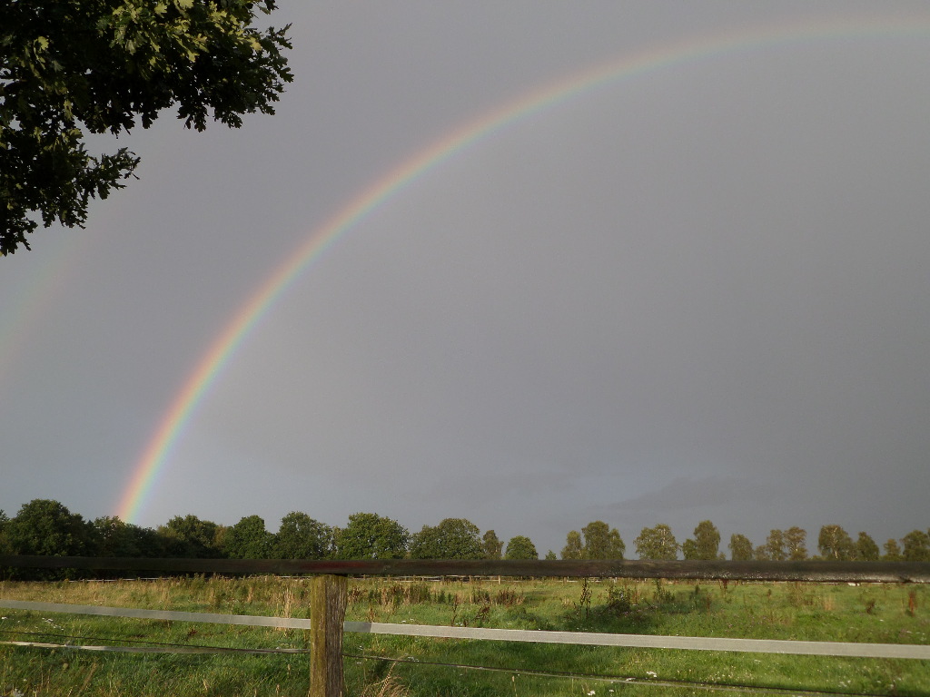 Regenbogen