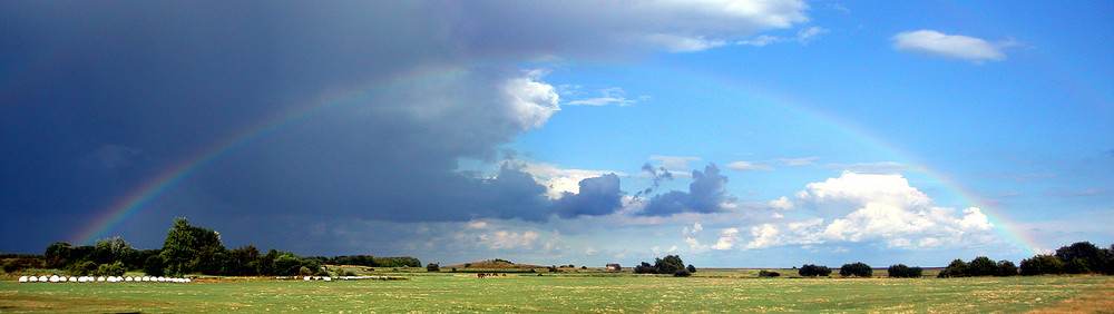 Regenbogen