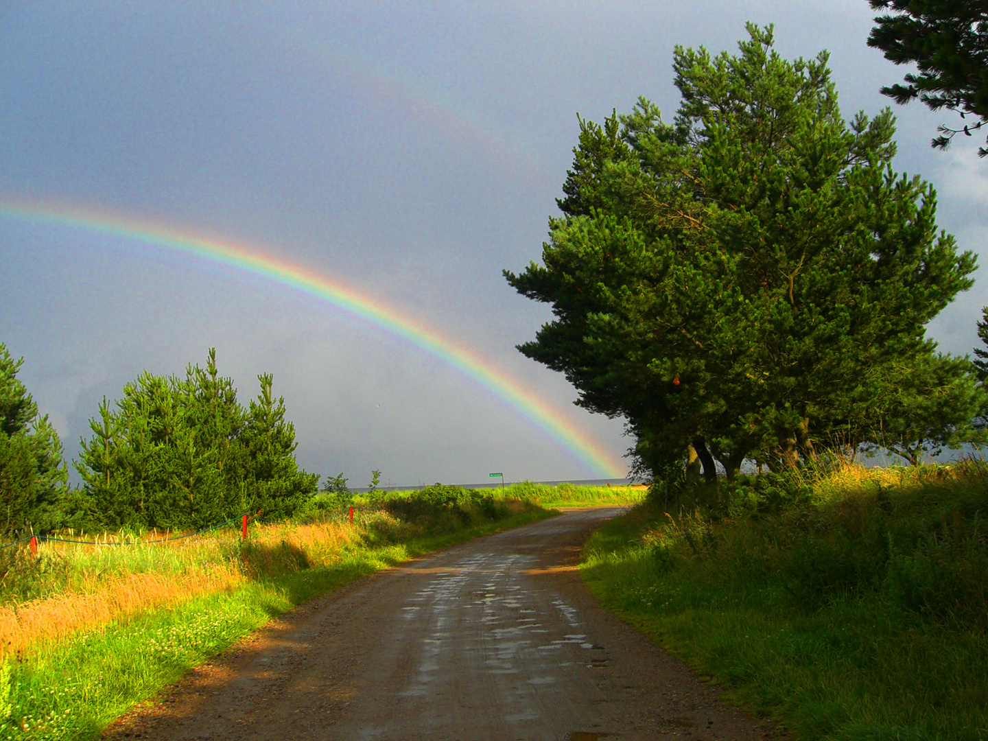 Regenbogen