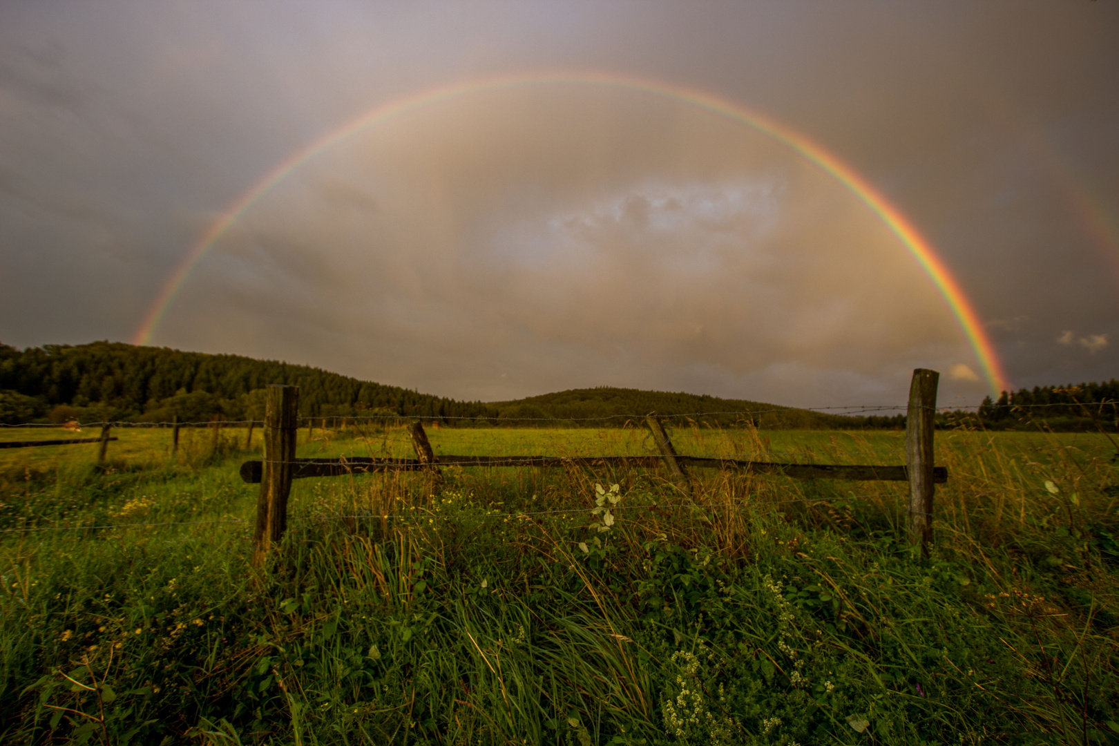 Regenbogen