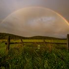 Regenbogen