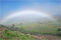 Regenbogen