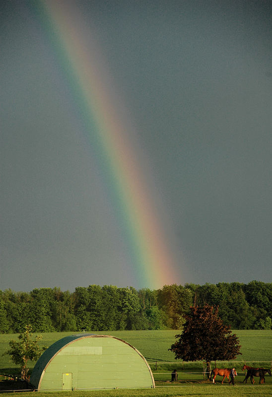 ***Regenbogen***