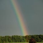 ***Regenbogen***