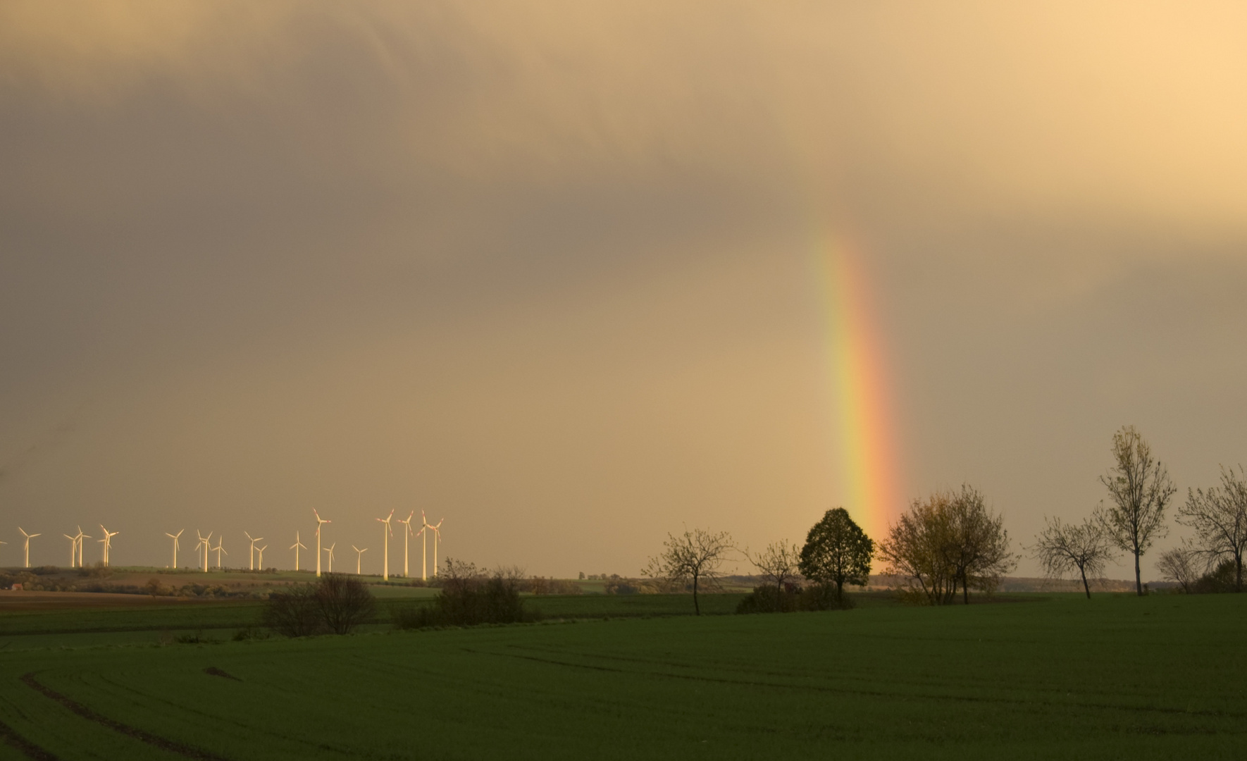 Regenbogen