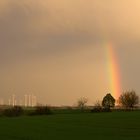 Regenbogen