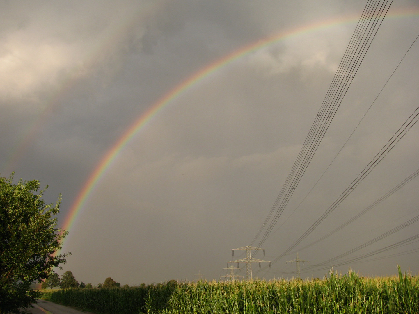 Regenbogen 5