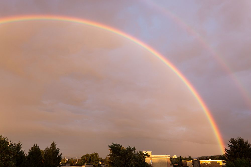 Regenbogen 5