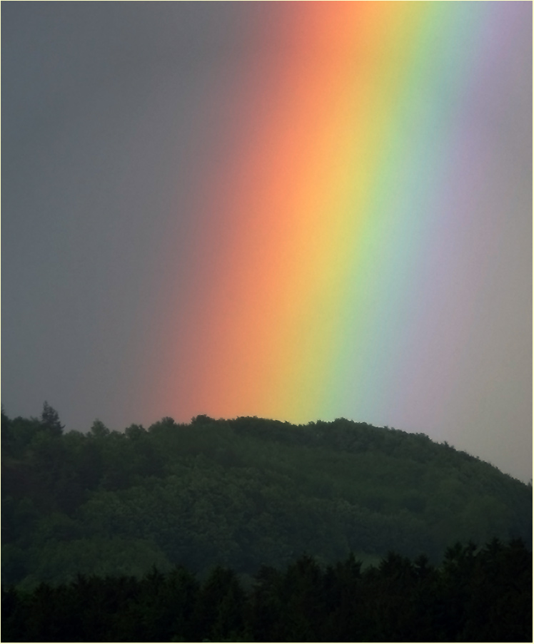 Regenbogen [5]