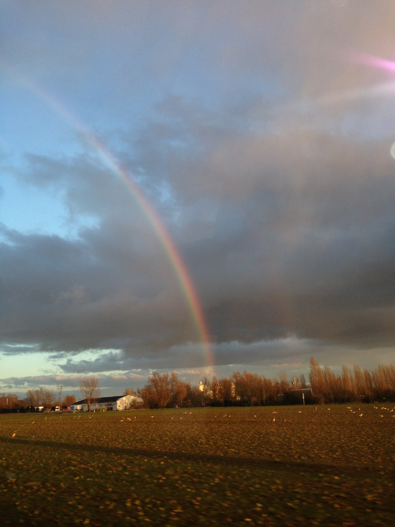 Regenbogen