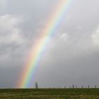 Regenbogen