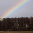 Regenbogen...