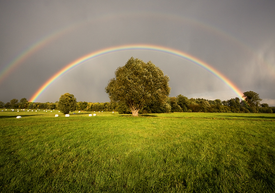 Regenbogen