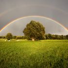 Regenbogen