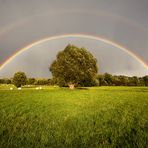 Regenbogen