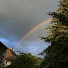 Regenbogen