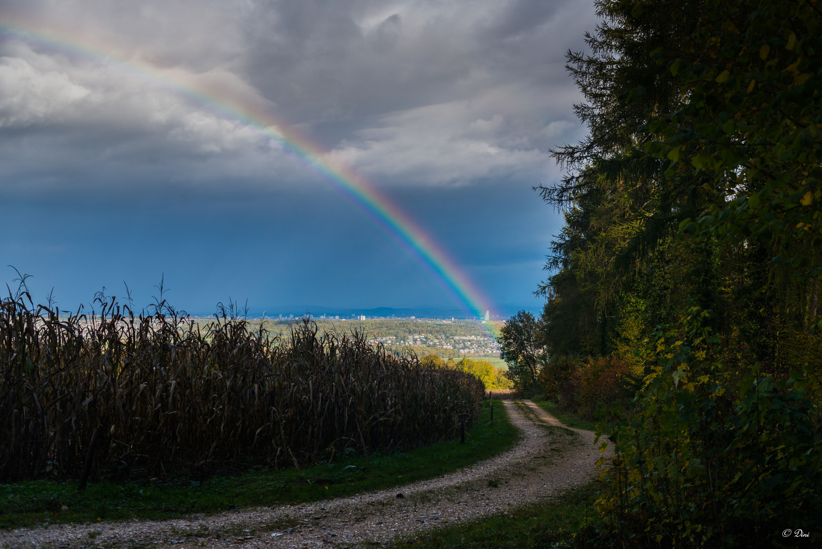 Regenbogen