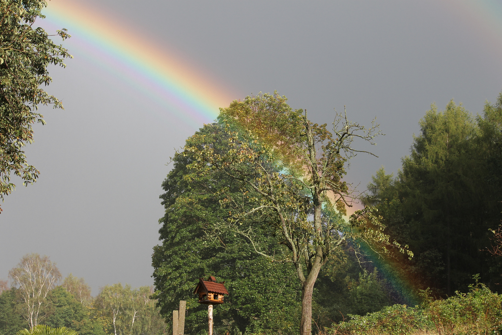 Regenbogen