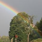 Regenbogen