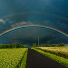 Regenbogen