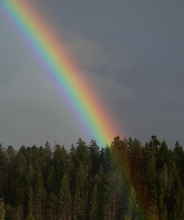 Regenbogen