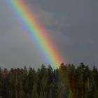 Regenbogen