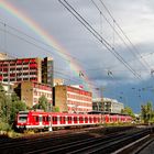 Regenbogen