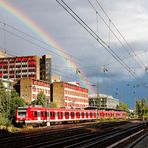 Regenbogen