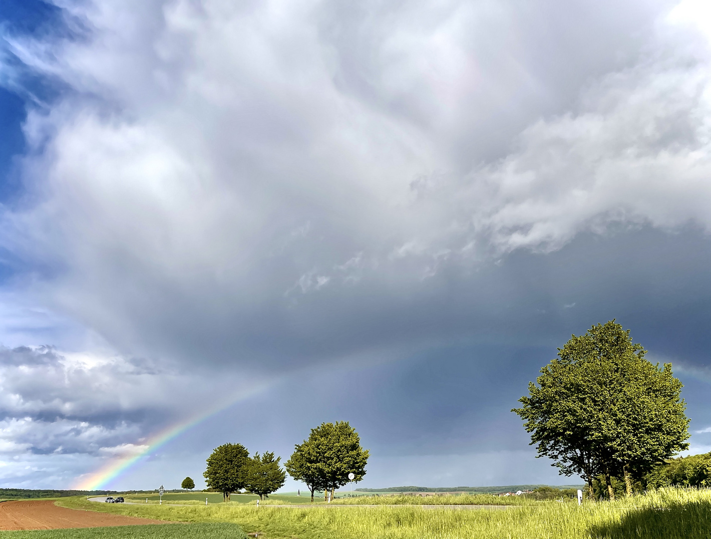 Regenbogen