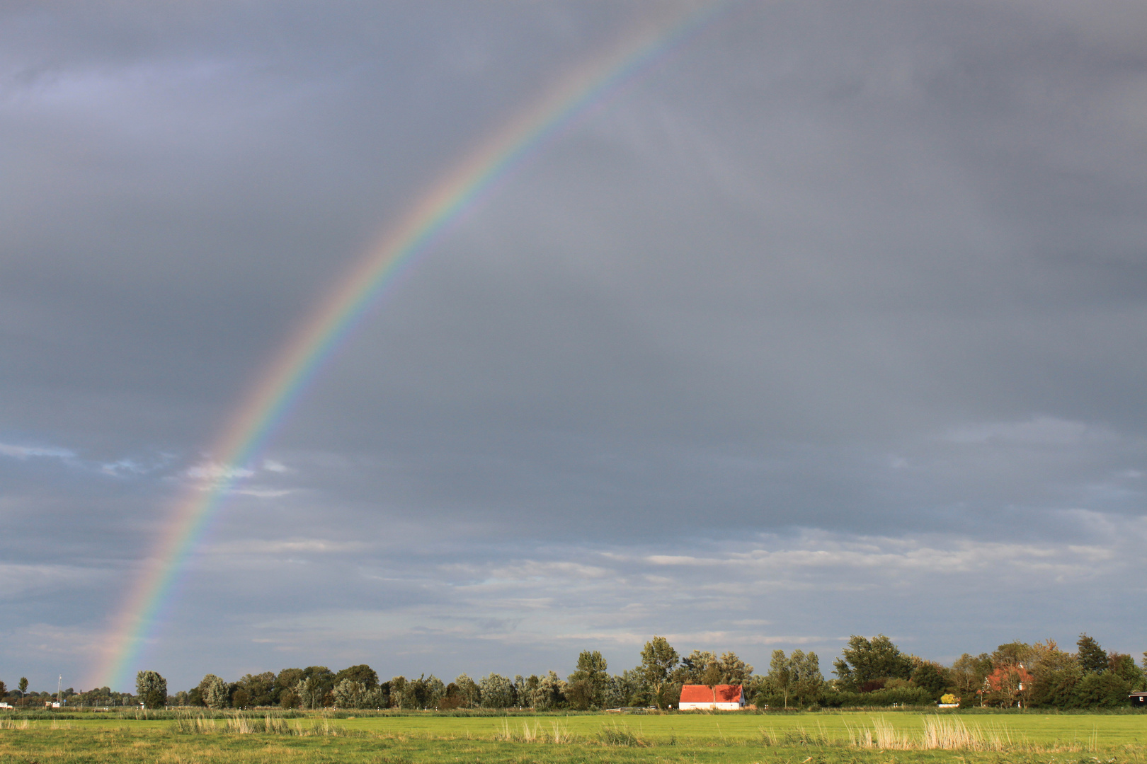 Regenbogen