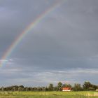 Regenbogen