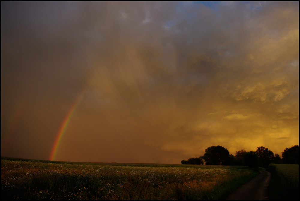 Regenbogen