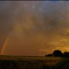 Regenbogen