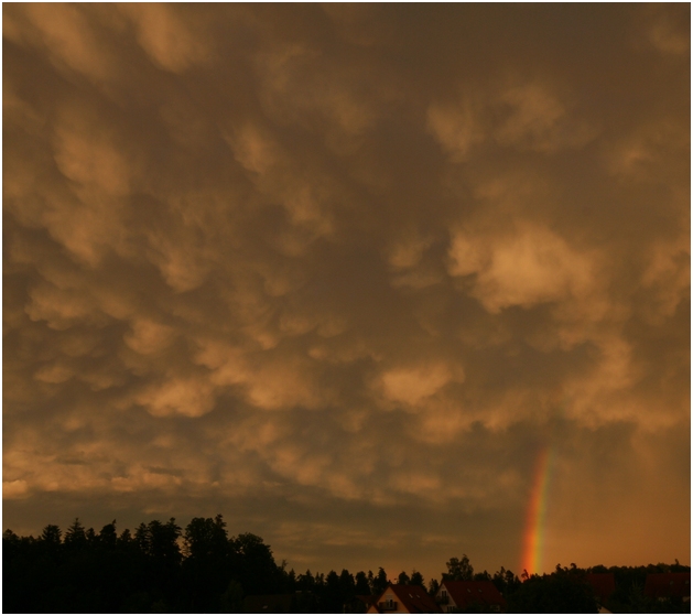 regenbogen