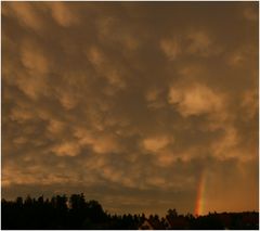 regenbogen