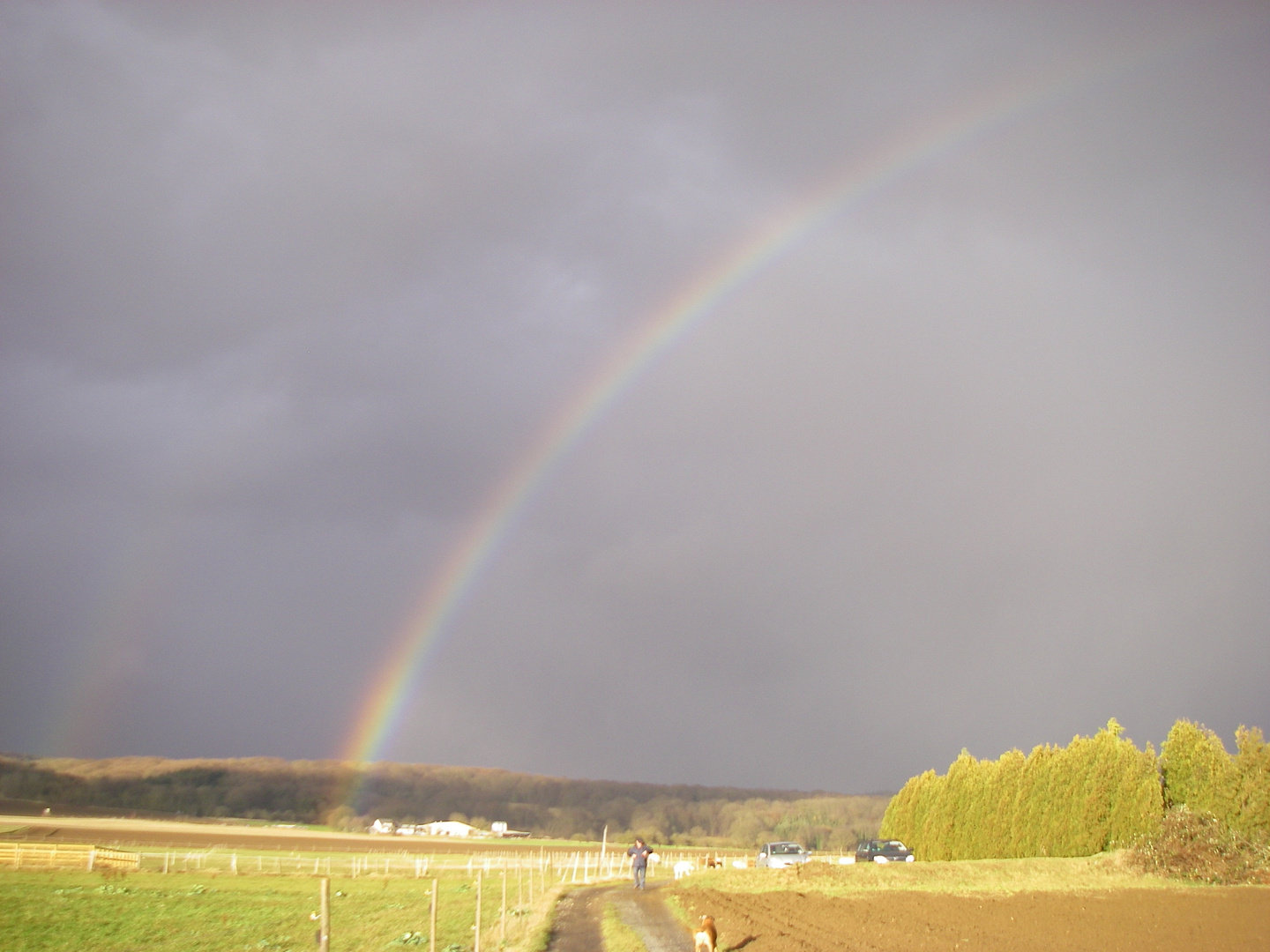 Regenbogen