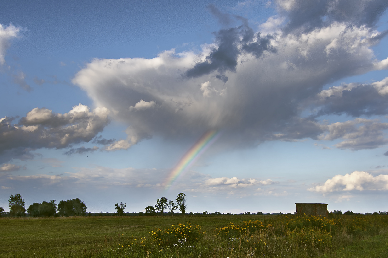 Regenbogen