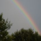 regenbogen