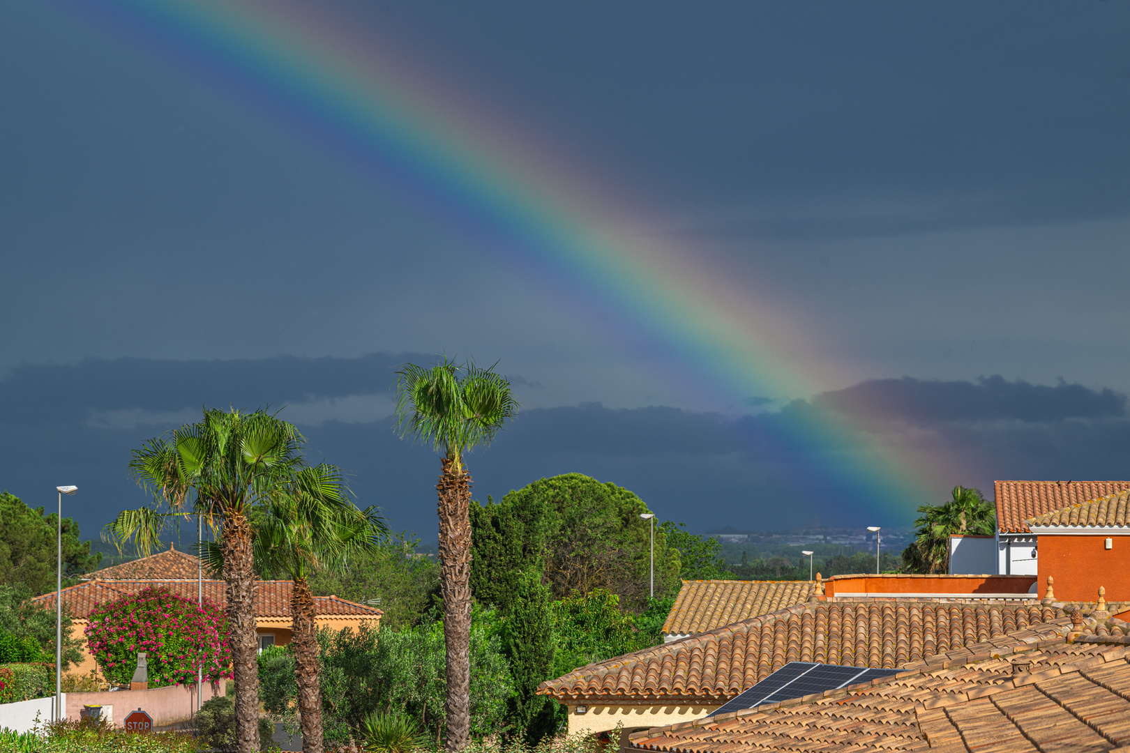 Regenbogen. 