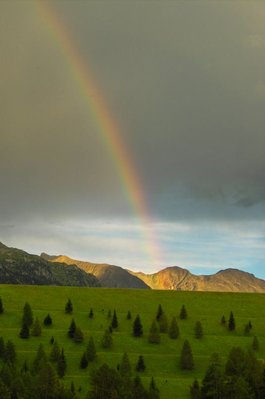 Regenbogen