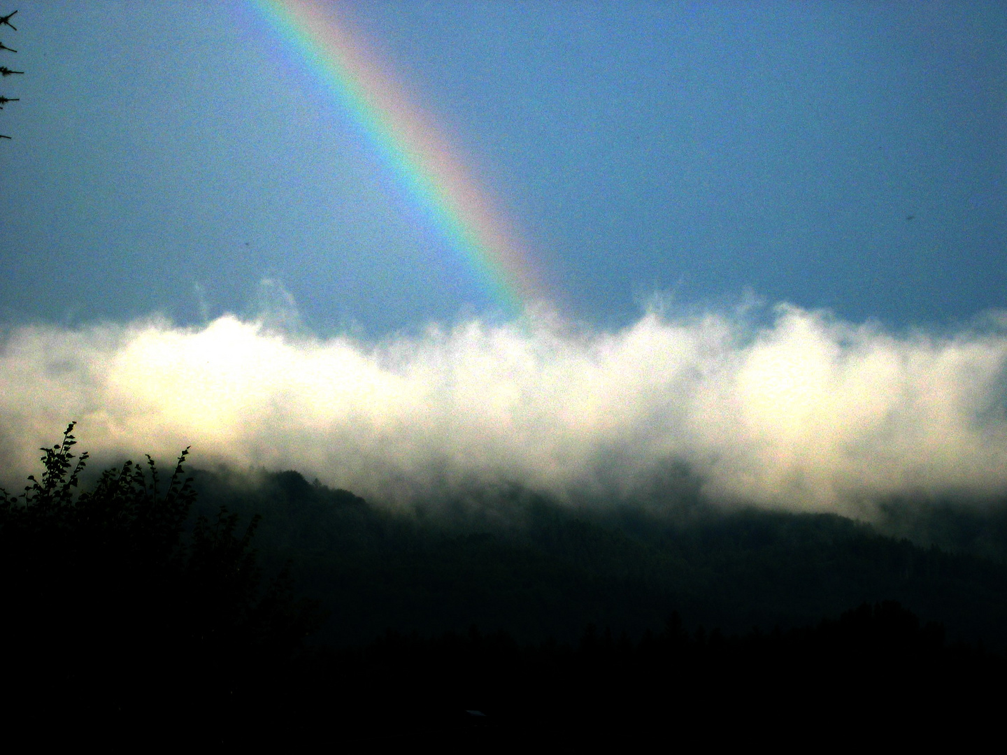 Regenbogen