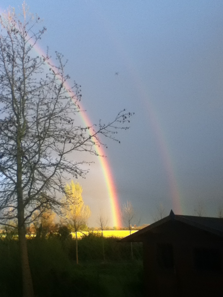 Regenbogen