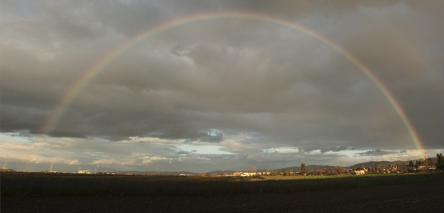 Regenbogen