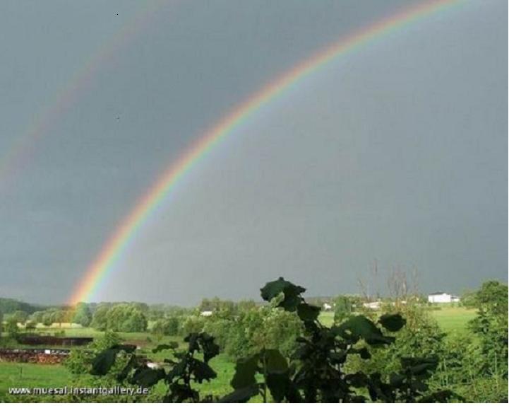 Regenbogen