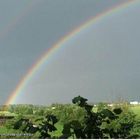 Regenbogen