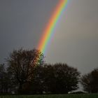 Regenbogen